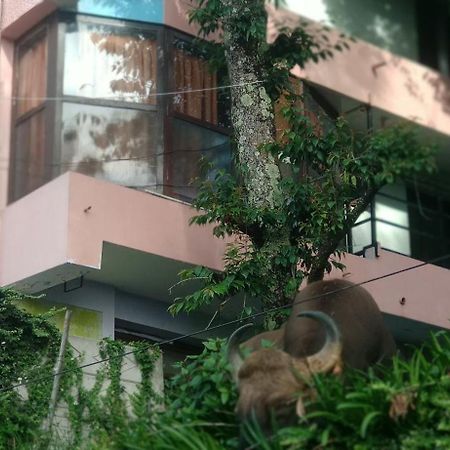 Sugan Residancy Kodai Kodaikanal Exterior photo