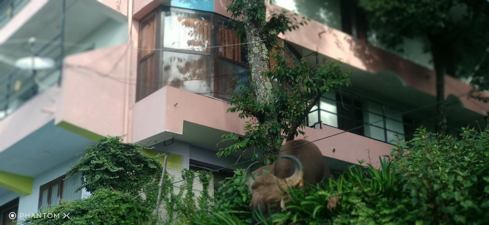Sugan Residancy Kodai Kodaikanal Exterior photo